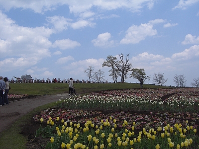 �����イ�Ԍ���