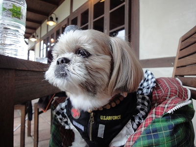 �L�����f�B