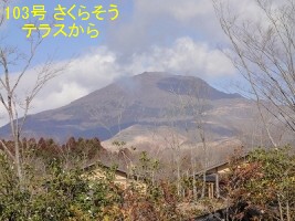 �e���X����