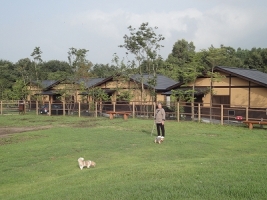 200�ԑ�̏h����