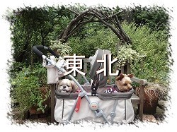 ���k�G���A