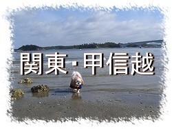 �֓��E�b�M�z�G���A