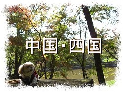 �����E�l���G���A