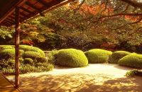 �ό��X�|�b�g