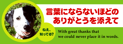 �R���������v���W�F�N�g�̊������{�ɂȂ�܂����B������ ����������������Ă܂��I